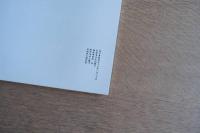 竹の化身たち（人形座「竹芸」写真集）