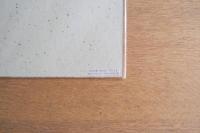 いわさきちひろ 色紙「母と子とカーネーション」［印刷］