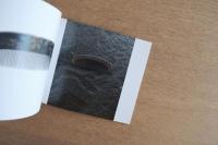 しあわせの髪飾り ― ラリックの櫛、日本の櫛 ―