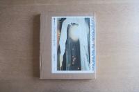 Georgia O’Keeffe The New York Years