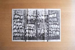 豊福知徳展 図録