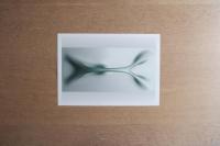 Ross Lovegrove｜限定版シルクスクリーン5枚セット（桐箱入）