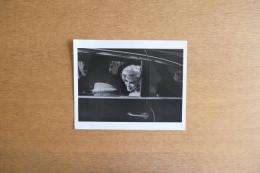 Marilyn in Cadillac｜1959年 マリリン・モンロー肖像 大判ポストカード