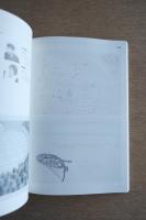 (仮称)青森県立美術館設計競技記録集 : 1999-2000