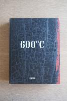 600°C