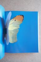 I want to spend the rest of my life everywhere, with everyone, one to one, always, forever, now