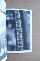 青木野枝展 軽やかな、鉄の森