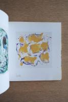 サム・フランシス展図録