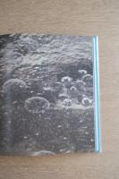 On A Night When Even Light Herself Slept - ひかりさえ眠る夜に