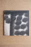 HOWARD HODGKIN ハワード・ホジキン