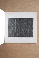 Jasper Johns Screenprints Galerie Mukai 1978