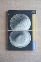 特別展　甦るインドシナ半島のやきもの