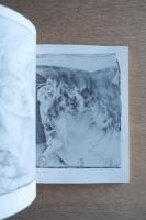 ホルスト・ヤンセン展 図録