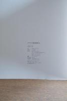 ラファエル前派画集　女