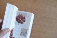 1000 Chairs（1000チェア）