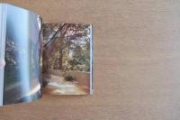 巨匠 フランク・ロイド・ライト