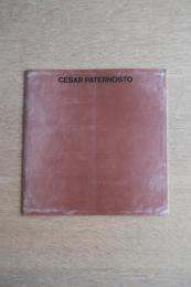 CESAR PATERNOSTO セーサル・パテルノスト展 図録