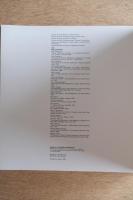 CESAR PATERNOSTO セーサル・パテルノスト展 図録