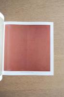 CESAR PATERNOSTO セーサル・パテルノスト展 図録