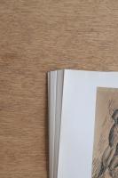 FRONTIERS I　例証の画家たち