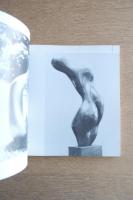 生誕100年記念 アルプ展