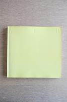 生誕100年記念 アルプ展