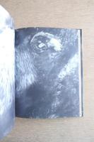 Alfons Alt : The Nature of the Beast