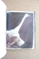 Alfons Alt : The Nature of the Beast