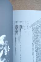 美の科学誌―イメージの図譜（日本の美と文化18）