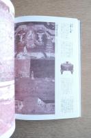 美の科学誌―イメージの図譜（日本の美と文化18）