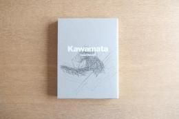 川俣正　Kawamata Expand BankART　3冊組