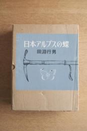 日本アルプスの蝶