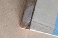 日本アルプスの蝶