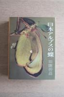 日本アルプスの蝶