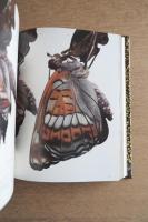 日本アルプスの蝶