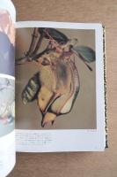 日本アルプスの蝶