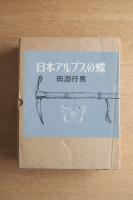 日本アルプスの蝶