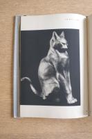 カメラの把えた朝倉文夫の彫塑