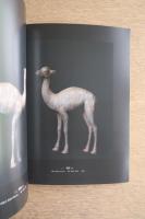 鶴　土屋仁応展