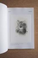 多摩美術大学研究紀要