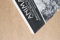 ANIMALS 1419 Copyright-Free Illustrations of Mammals, Birds, Fish, Insects, Etc. A Pictorial Archive from Nineteenth-Century Sources