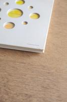 森万里子 : ピュアランド