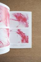 Hisako INUI 乾久子