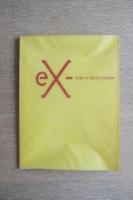 ex- Kcho x kenji Yanobe