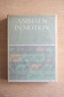 ANIMALS IN MOTION