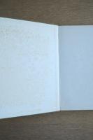 カマルグの馬たち Chevaux de Camargue