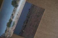 住居集合論 5 西アフリカ地域集落の構造論的考察 (SD別冊12)