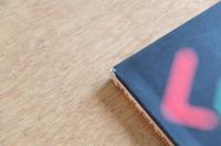 ジャン・ヌーヴェル JEAN NOUVEL Lumières リュミエール 光 ギャラリー・間叢書01