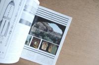 SD 7709 第156号 ドイツのIDの動向：ゲーテ・フォルム'69-'77