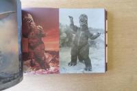 GODZILLA ゴジラ　History of Formative Arts 1954-2016